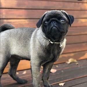 Meet your Posher, Kelsey